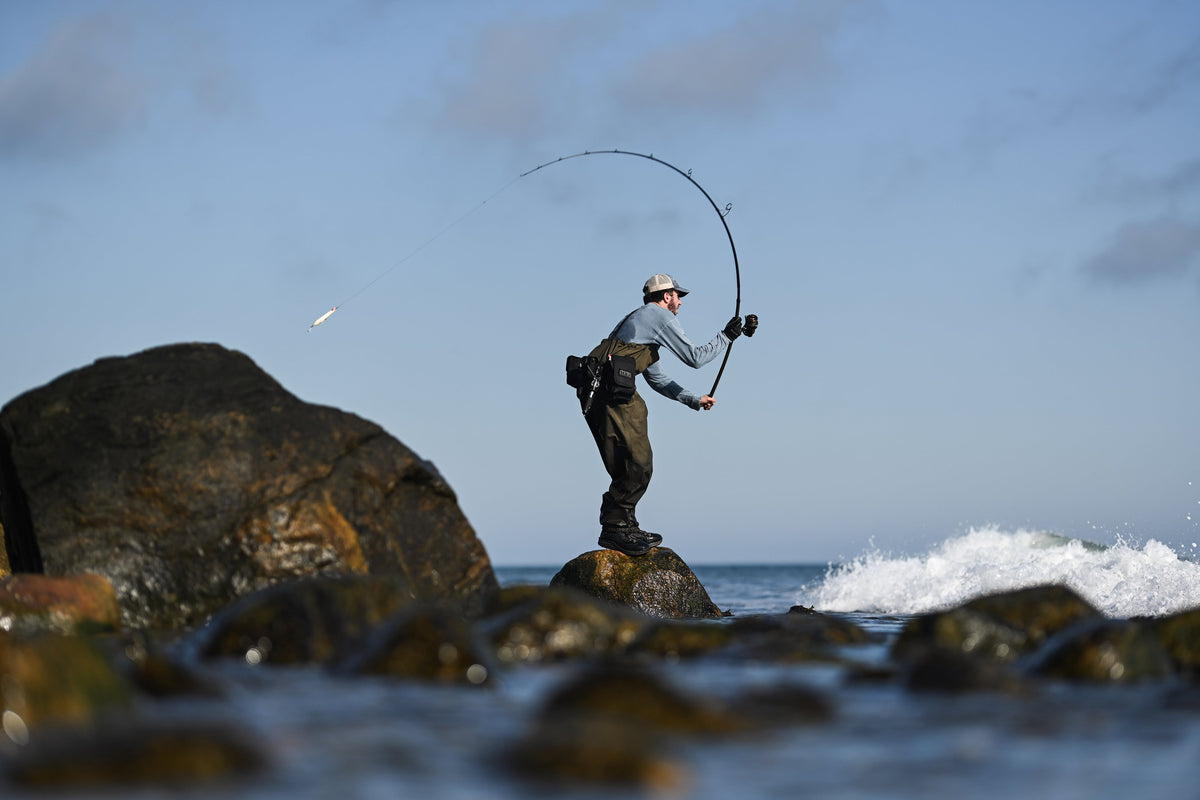 Avid Series Surf
